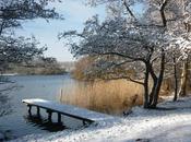 Deux derniers poèmes prose