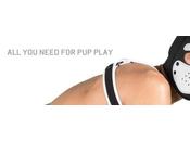 Loup Junior HUMANPUP parle passion pour DOGTRAINING PUPPY PLAY