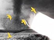 agendas Découvrez Cali Keys avril