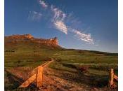 Expropriation Afrique mesure anti-Noirs?