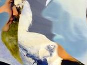 MONTPELLIER Photos Nathalie FUSTER 3/28 avril