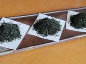 Trois gyokuro vintage Kyô-Tanabe