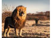 prospérité l’Afrique passe