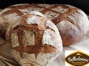 Belledonne lance pain base farines blés anciens