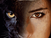 Panthera yeux Aude Vidal-Lessard