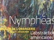 Musée l’Orangerie NYMPHÉAS abstraction américaine dernier Monet. Avril Août 2018