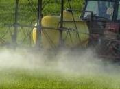 Santé Alerte pesticides bloquent respiration cellulaire