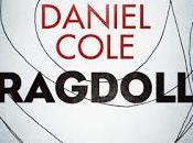 Ragdoll Daniel Cole