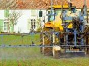 Pesticides aura périmètres protection près habitations