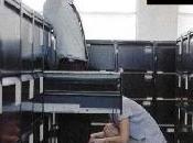 Pourquoi hommes aiment-ils fellation