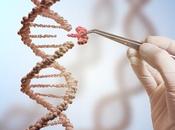 CERVEAU gènes bien humains font taille, fonction dysfonction