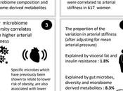MICROBIOME INTESTINAL fait aussi santé artères