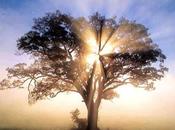 Pourquoi faut confondre causation corrélation