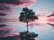 Peut-on réconcilier voie directe graduelle