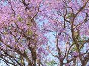 Voyage Algarve, Portugal