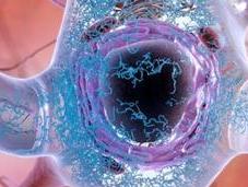 PATHOGENÈSE: L’Alzheimer bang