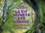 secrete arbres