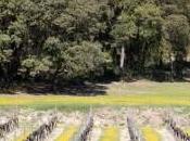 Coup Cœur Baux Provence Château d’Estoublon 2012