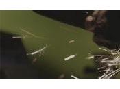 [Comic-Con 2018] Purge série interroge l’Amérique dans trailer