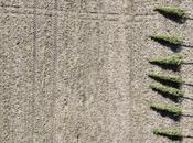 Photographie aérienne