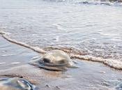 climat devient vraiment n'importe quoi