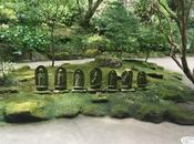 temple Hokoku-ji Kamakura forêt Bambous