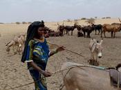 Niger soutenir populations agropastorales victimes sécheresse violence
