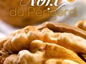 Noix Périgord