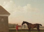 Country Life Chefs-d’oeuvre collection Mellon Musée Chasse Nature