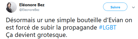 l’#homophobie crasse conseillère régionale #Paca @EleonoreBez #LGBT