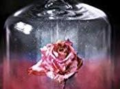 agendas Retrouvez saga Covenant Jennifer Armentrout octobre