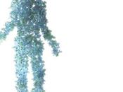 MICROBIOTE ÉVOLUTION Mais comment a-t-on fait pour vivre avec tous microbes