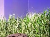 souviendras François Archambault