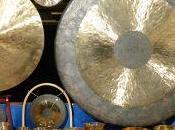 idiophone idiot tout