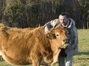 Agriculture l'Etat fermes péril retenant aides publiques