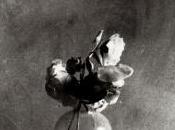 Sylvie Germain [C’était petit chemin terre]