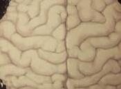 Galerie Yeux Fertiles Constellation Rispal Josette Décembre Janvier 2019