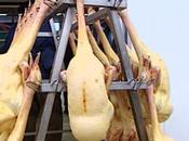 Foies Gras Christian Pussacq