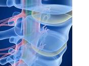 stimulation ganglions racine dorsale inhibe douleur chronique