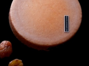 Moelleux marrons Claire Damon