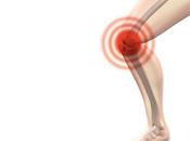 MÉCANOBIOLOGIE Pourquoi blessure l'articulation genou mène l'arthrose
