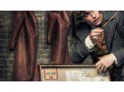 Critique Livre Harry Potter Animaux fantastiques magie ici…