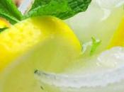 Limonade menthe thermomix