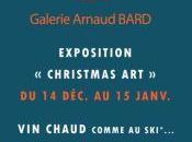 Galerie Boulogne Christmas Décembre Janvier 2019