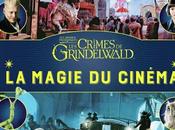 Magie Cinéma Crimes Grindelwald