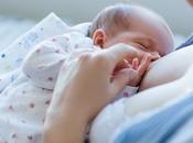 SOMATOSENSATION FACIALE bébés utilisent sens toucher pour fixer sein leur mère