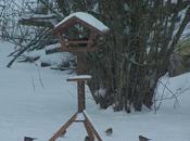 Calendrier lunaire janvier février 2019