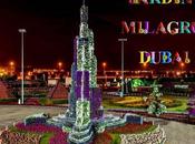 Pays Etranger jardin Milagro...DuBaî...2