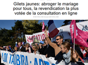 catholibans #LMPT manipulent sondage #CESE #giletsjaunes #LGBT #homophobie