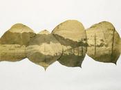 [PHOTOGRAPHIE] Chloroplast Photography projet écologique poétique d’Hiro Chiba